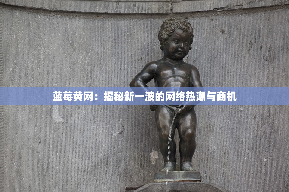 蓝莓黄网：揭秘新一波的网络热潮与商机