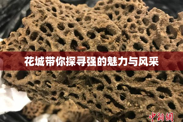 花城带你探寻强的魅力与风采