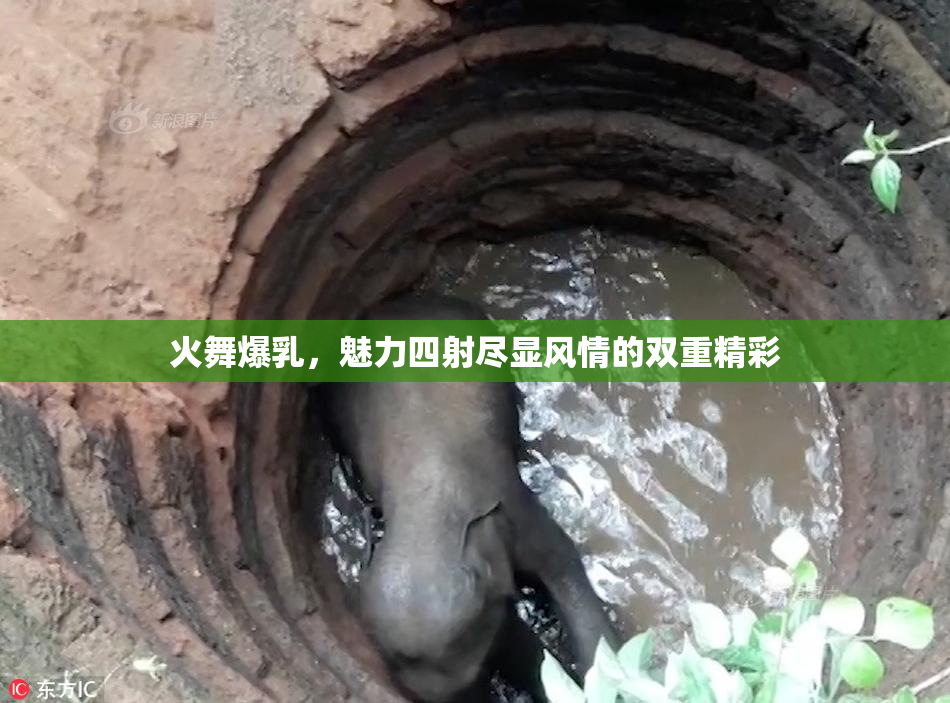 火舞爆乳，魅力四射尽显风情的双重精彩