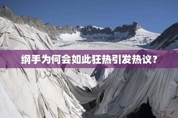 纲手为何会如此狂热引发热议？