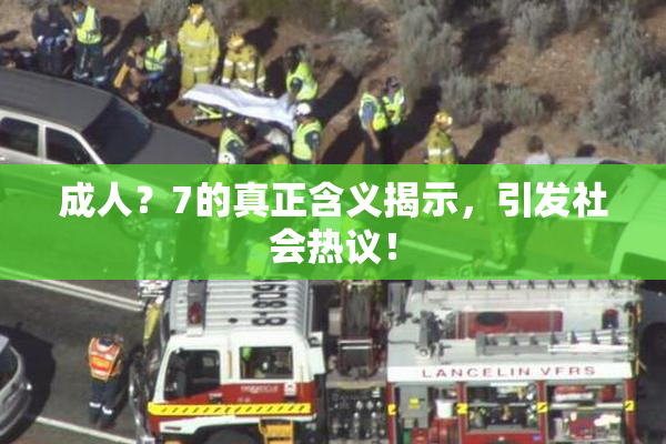 成人？7的真正含义揭示，引发社会热议！