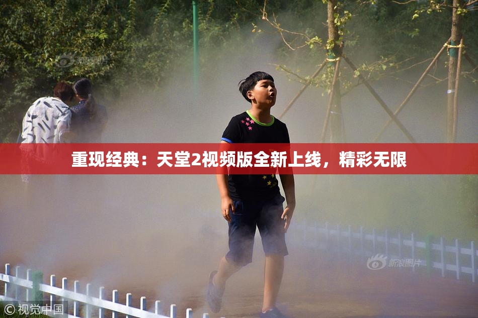 重现经典：天堂2视频版全新上线，精彩无限