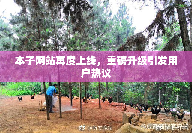 本子网站再度上线，重磅升级引发用户热议
