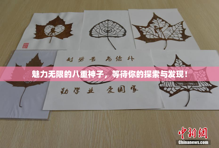 魅力无限的八重神子，等待你的探索与发现！