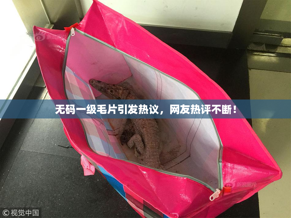 无码一级毛片引发热议，网友热评不断！