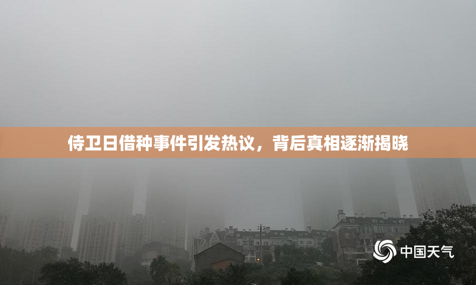 侍卫日借种事件引发热议，背后真相逐渐揭晓