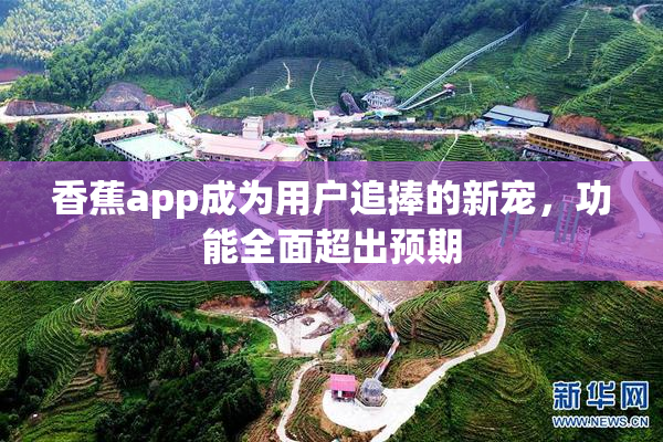 香蕉app成为用户追捧的新宠，功能全面超出预期