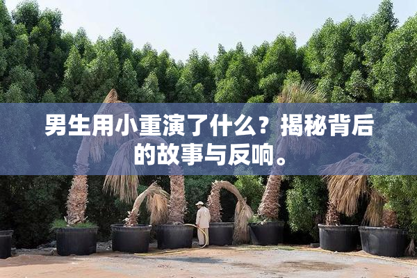 男生用小重演了什么？揭秘背后的故事与反响。