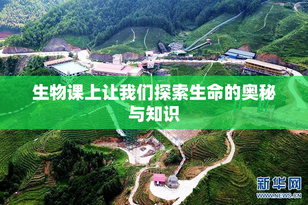 生物课上让我们探索生命的奥秘与知识