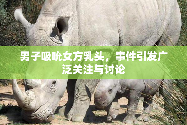 男子吸吮女方乳头，事件引发广泛关注与讨论