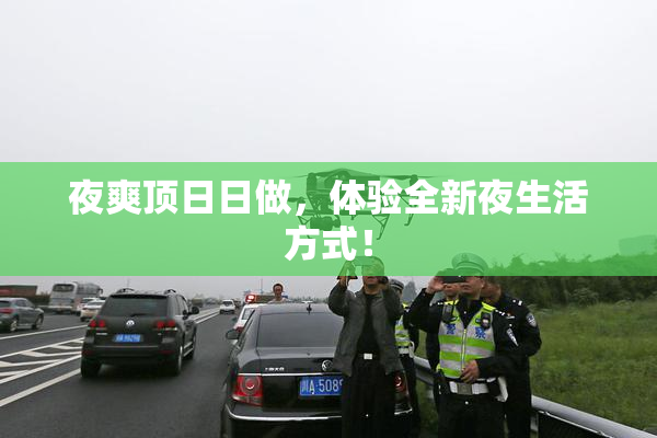 夜爽顶日日做，体验全新夜生活方式！