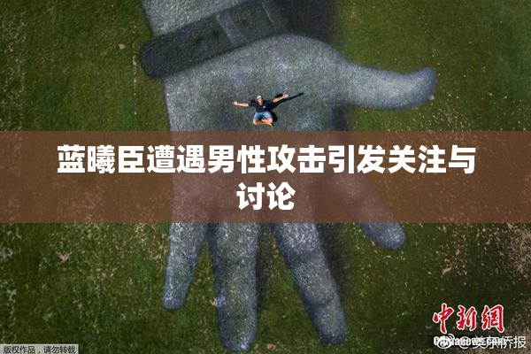 蓝曦臣遭遇男性攻击引发关注与讨论