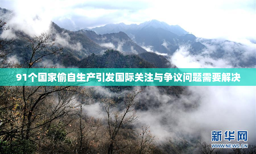 91个国家偷自生产引发国际关注与争议问题需要解决