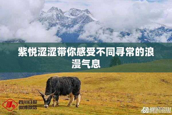 紫悦涩涩带你感受不同寻常的浪漫气息
