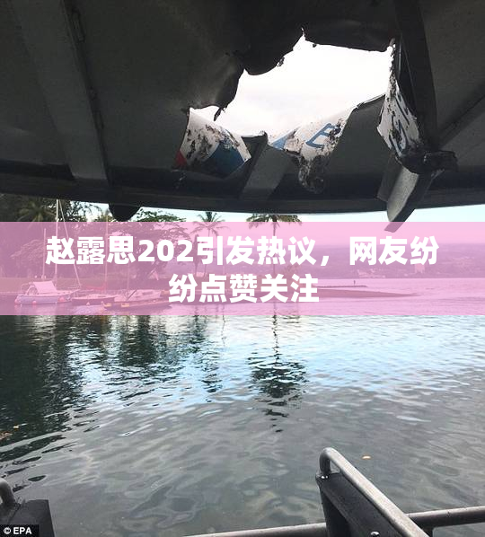 赵露思202引发热议，网友纷纷点赞关注