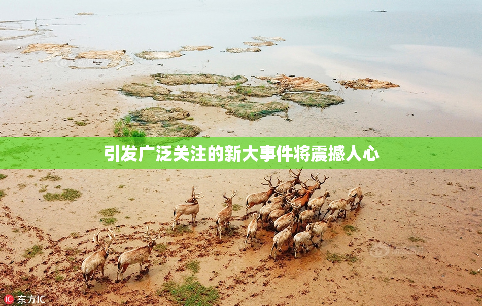 引发广泛关注的新大事件将震撼人心