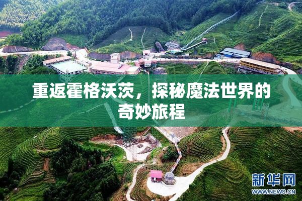 重返霍格沃茨，探秘魔法世界的奇妙旅程