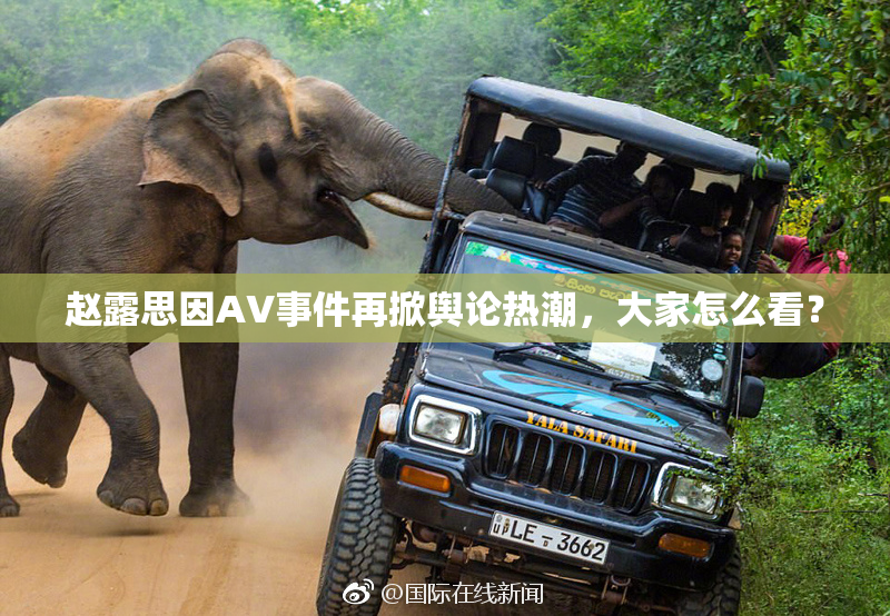 赵露思因AV事件再掀舆论热潮，大家怎么看？
