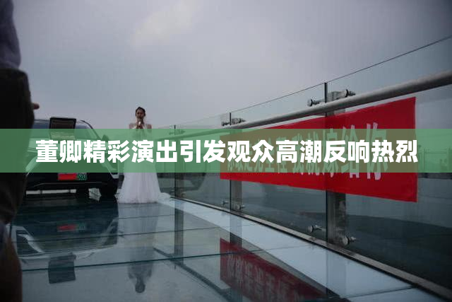 董卿精彩演出引发观众高潮反响热烈