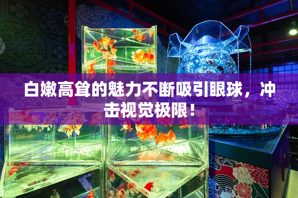 白嫩高耸的魅力不断吸引眼球，冲击视觉极限！