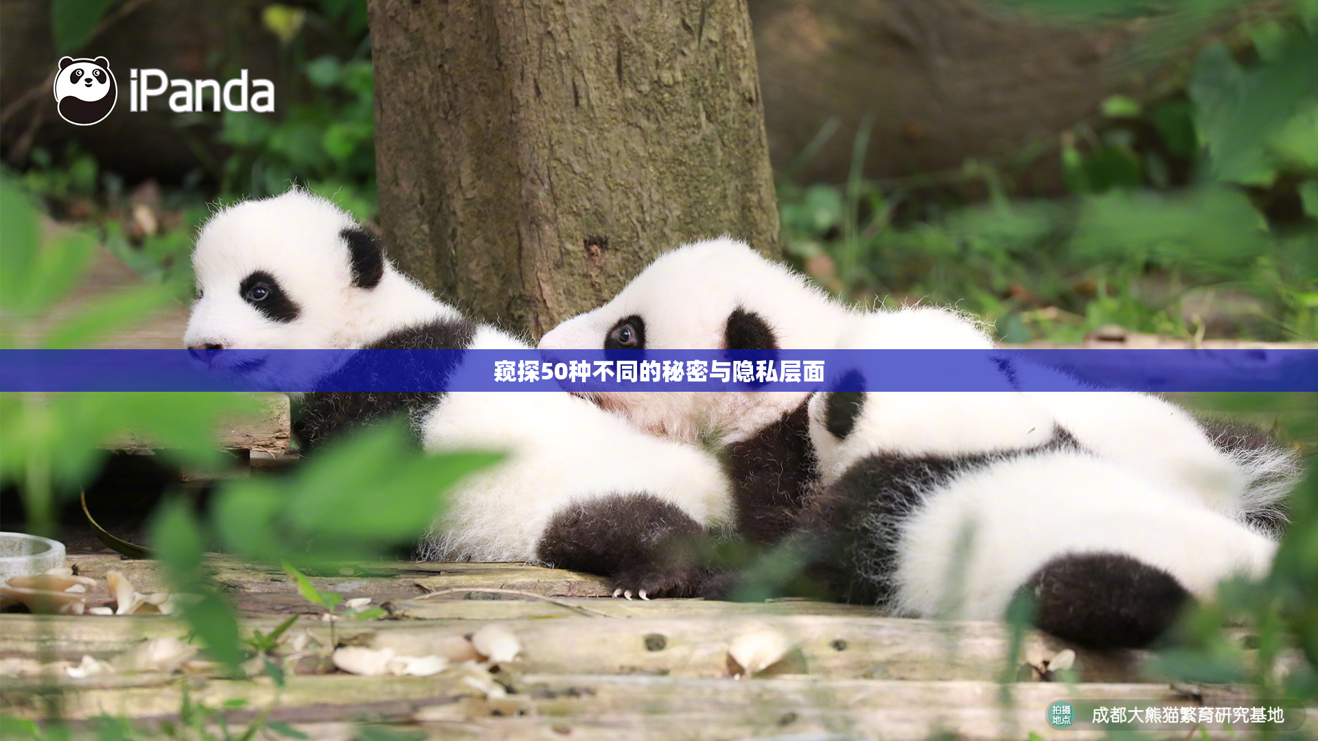窥探50种不同的秘密与隐私层面