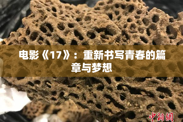 电影《17》：重新书写青春的篇章与梦想