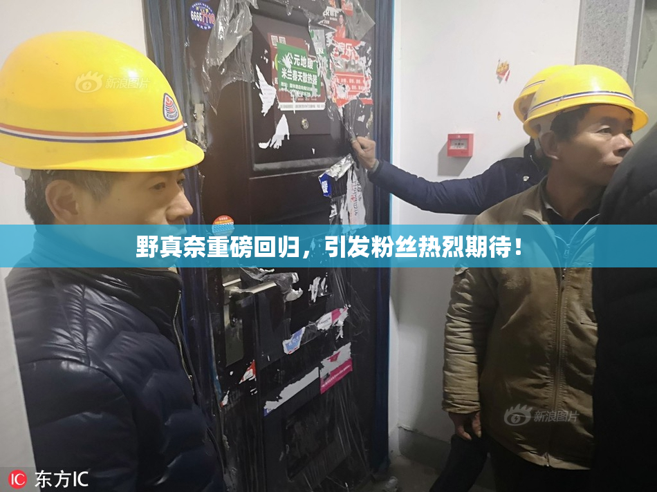 野真奈重磅回归，引发粉丝热烈期待！