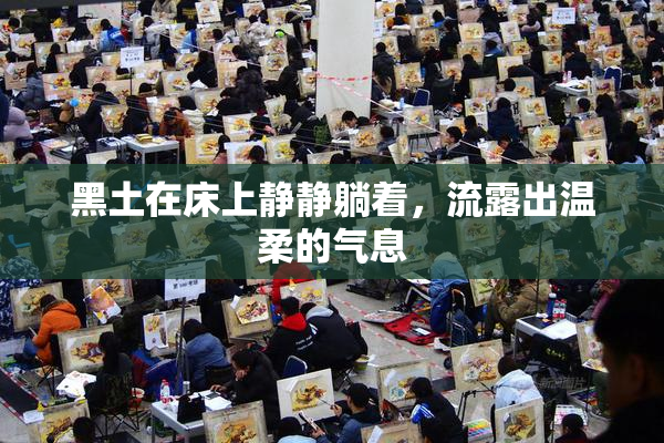 黑土在床上静静躺着，流露出温柔的气息