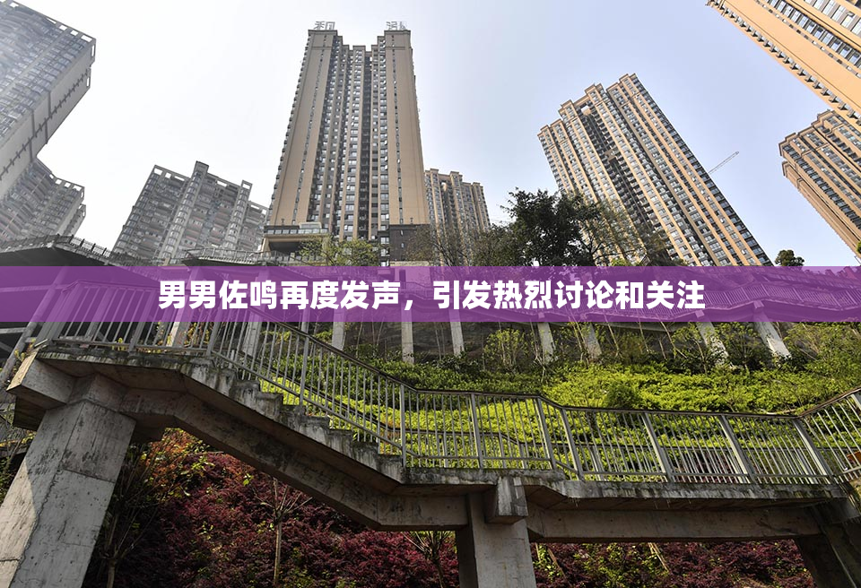 男男佐鸣再度发声，引发热烈讨论和关注