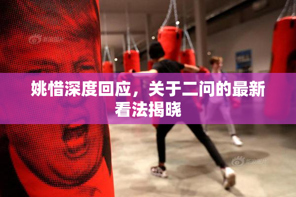 姚惜深度回应，关于二问的最新看法揭晓