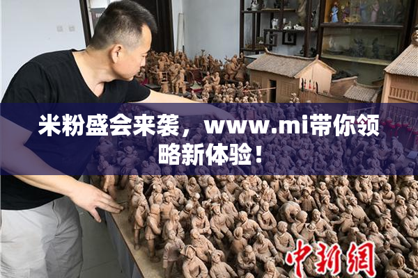 米粉盛会来袭，www.mi带你领略新体验！