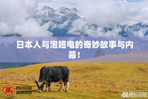 日本人与泡妞电的奇妙故事与内幕！