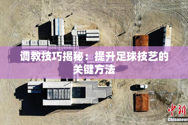调教技巧揭秘：提升足球技艺的关键方法