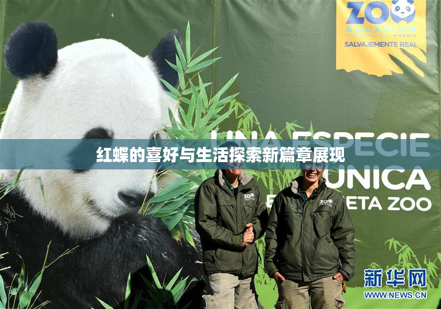 红蝶的喜好与生活探索新篇章展现