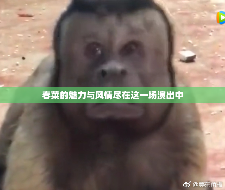 春菜的魅力与风情尽在这一场演出中