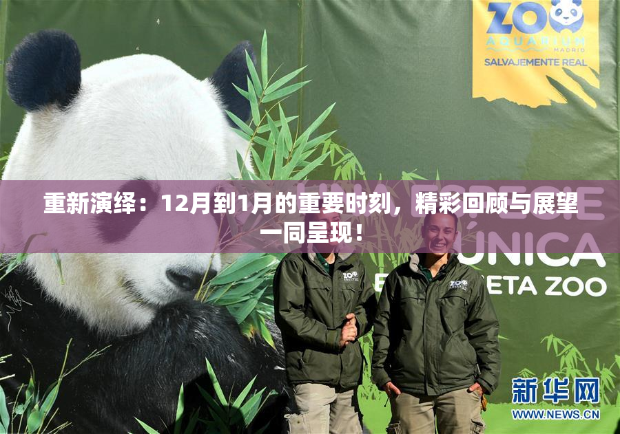 重新演绎：12月到1月的重要时刻，精彩回顾与展望一同呈现！