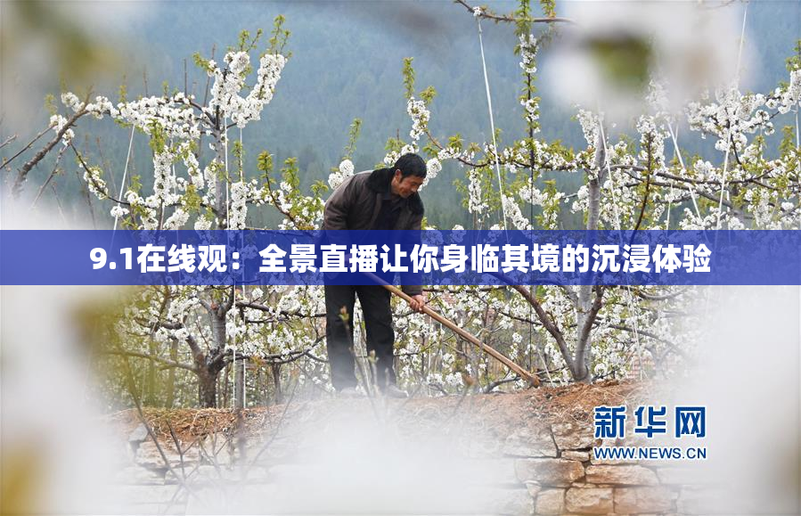9.1在线观：全景直播让你身临其境的沉浸体验