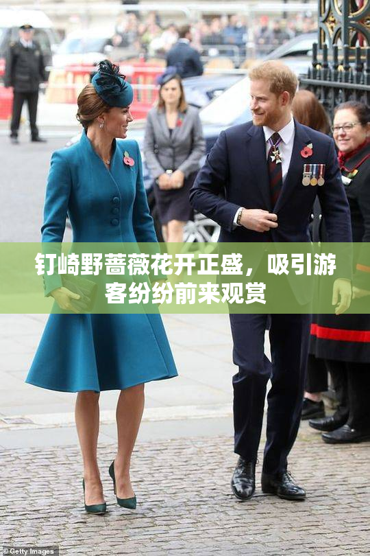 钉崎野蔷薇花开正盛，吸引游客纷纷前来观赏