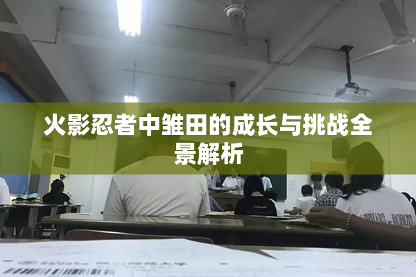 火影忍者中雏田的成长与挑战全景解析