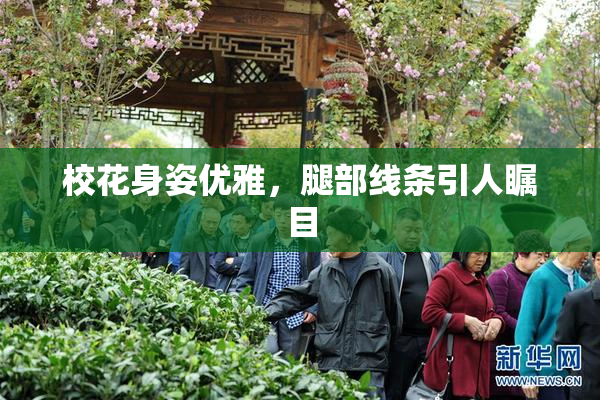 校花身姿优雅，腿部线条引人瞩目