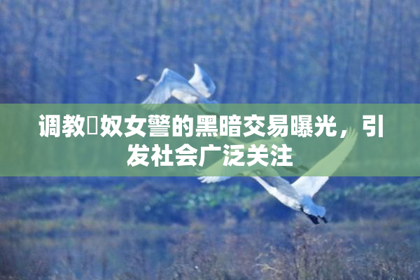 调教婬奴女警的黑暗交易曝光，引发社会广泛关注