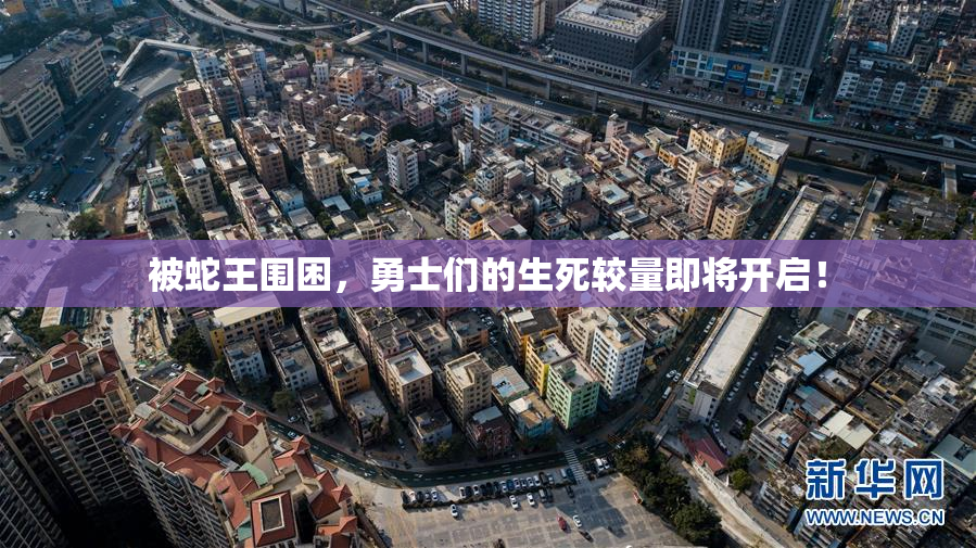 被蛇王围困，勇士们的生死较量即将开启！