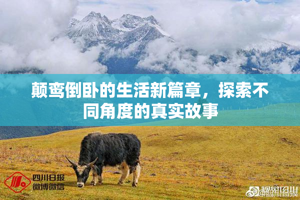 颠鸾倒卧的生活新篇章，探索不同角度的真实故事