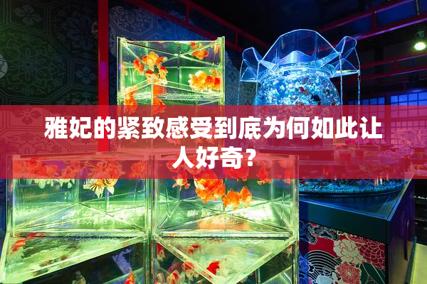雅妃的紧致感受到底为何如此让人好奇？