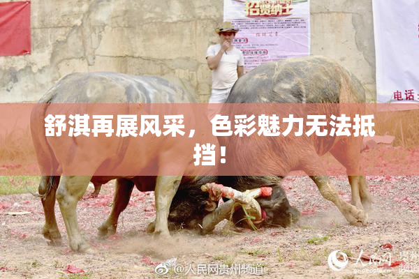 舒淇再展风采，色彩魅力无法抵挡！