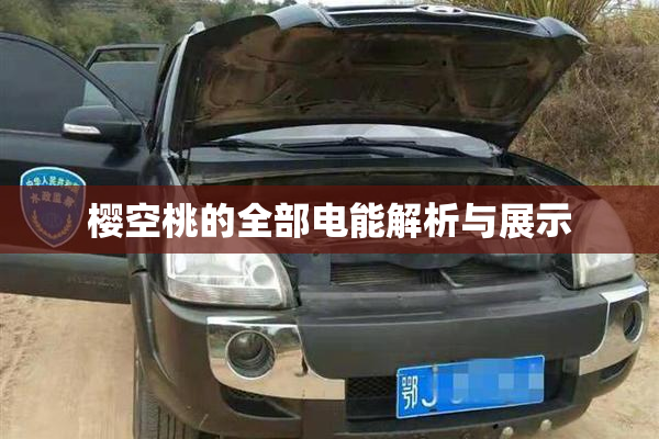樱空桃的全部电能解析与展示
