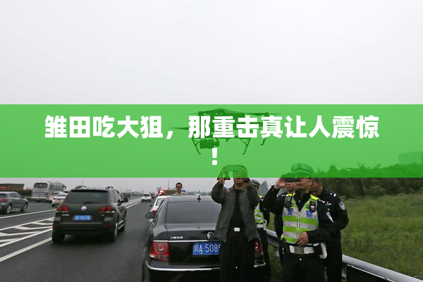 雏田吃大狙，那重击真让人震惊！