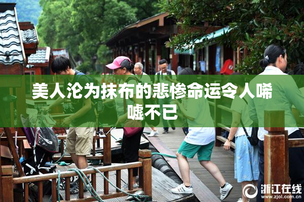 美人沦为抹布的悲惨命运令人唏嘘不已
