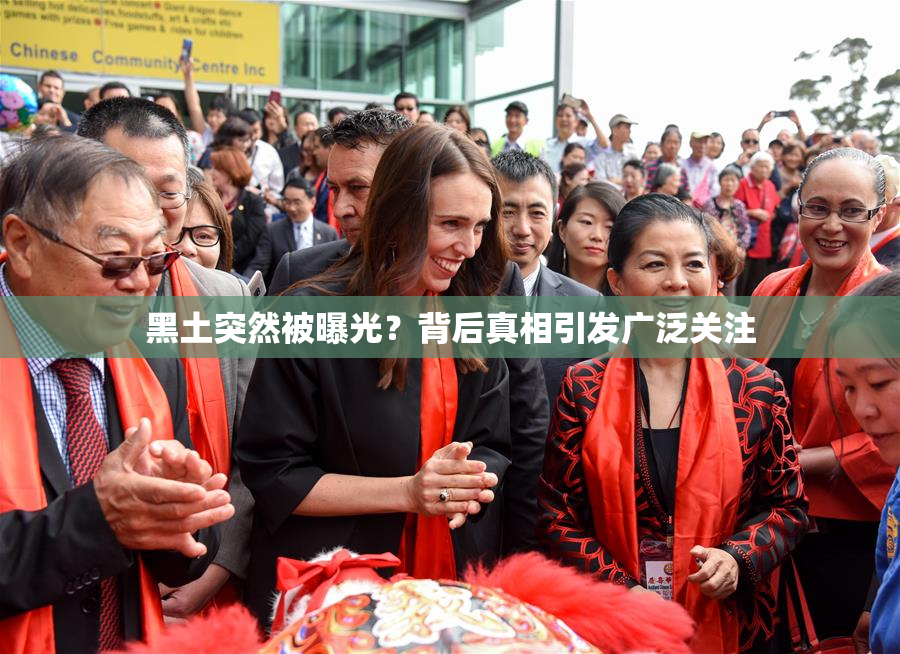 黑土突然被曝光？背后真相引发广泛关注