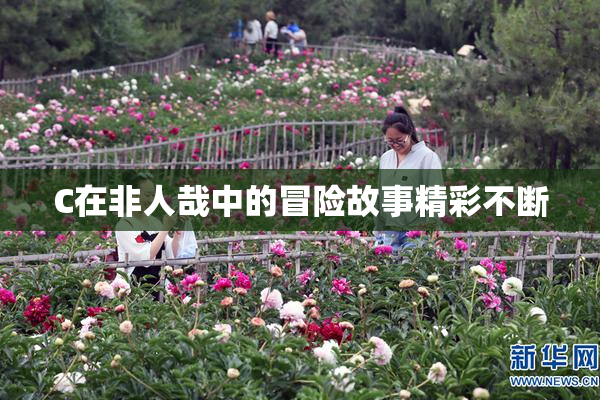 C在非人哉中的冒险故事精彩不断